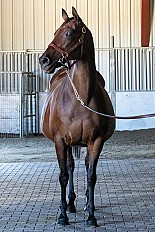 April Fooler - Hip 54