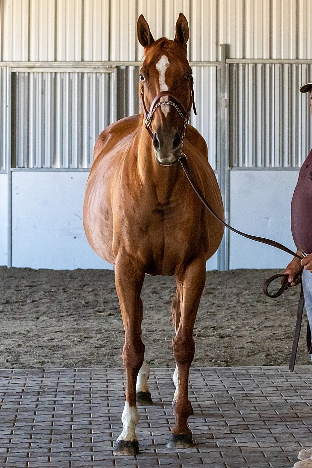 Lovacres Ranch Rally Back Eye Love Jeanie