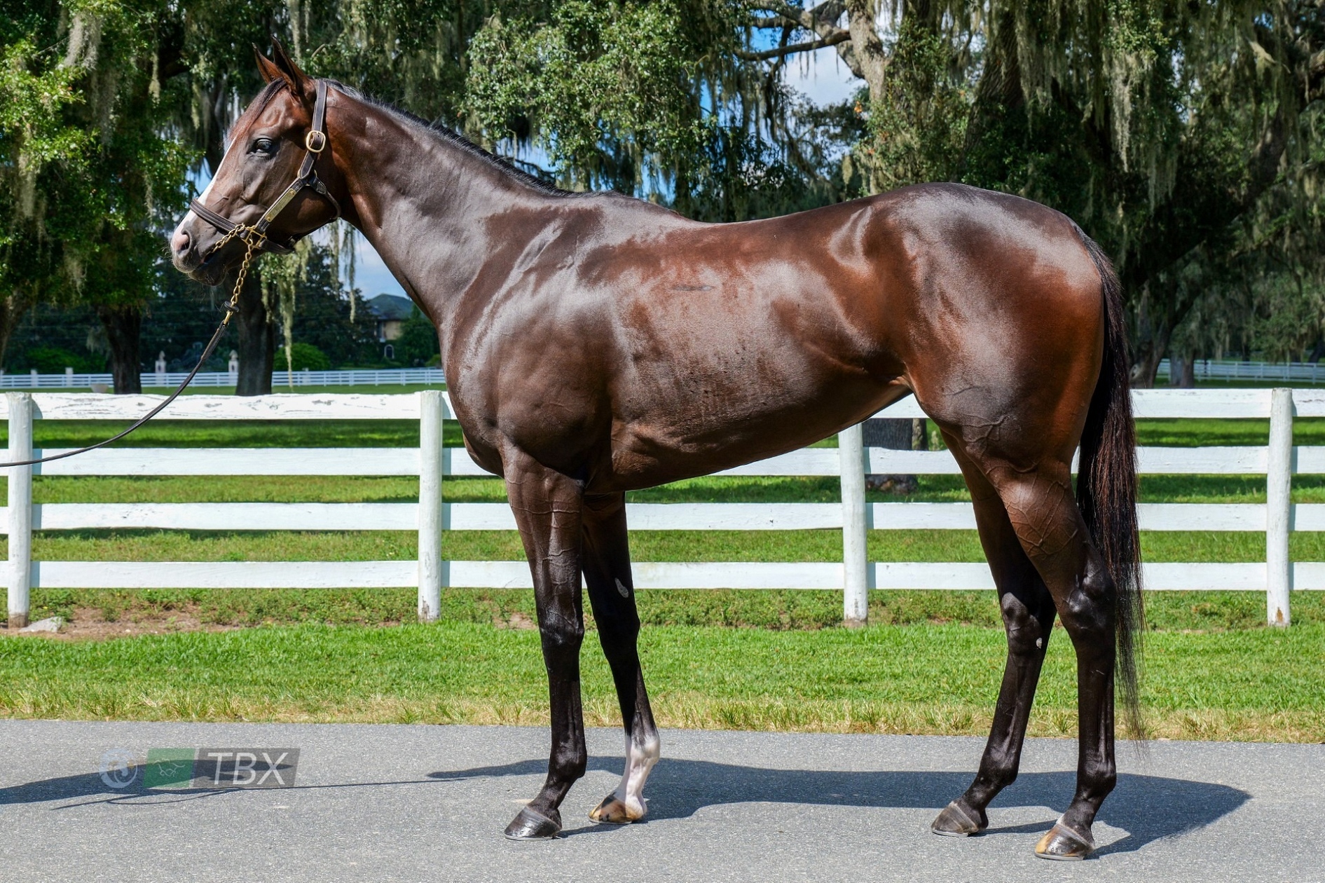 9f5cda4a 50a9 475c 95cf 0a4a97faf019 xl jpg 9f5cda4a-50a9-475c-95cf-0a4a97faf019-xl-jpg